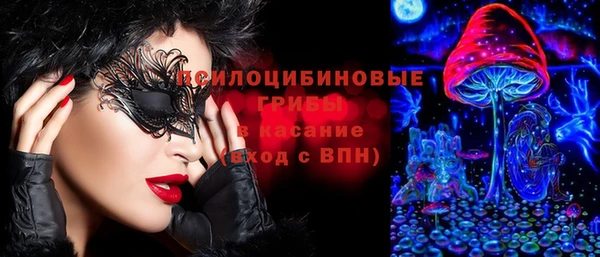 мдпв Апатиты